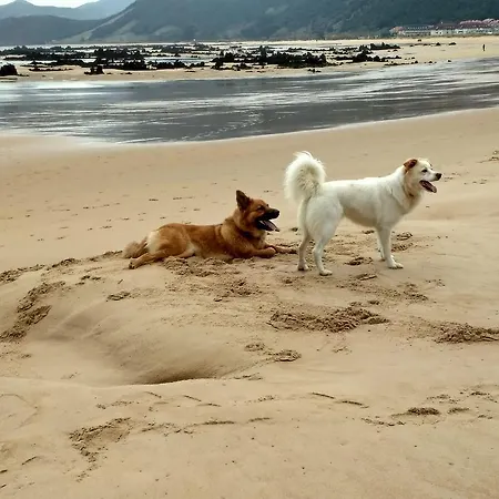 Apartmán La Casona Del Carmen Noja