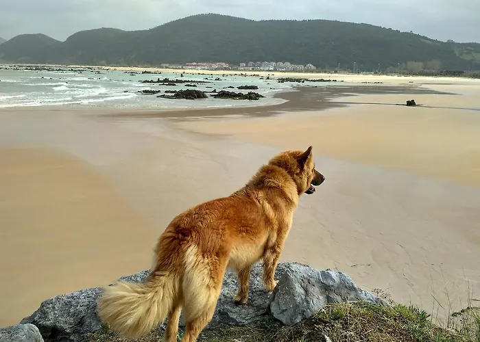 La Casona Del Carmen Apartment *
