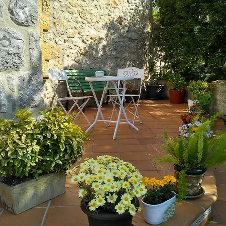 La Casona Del Carmen * 노하