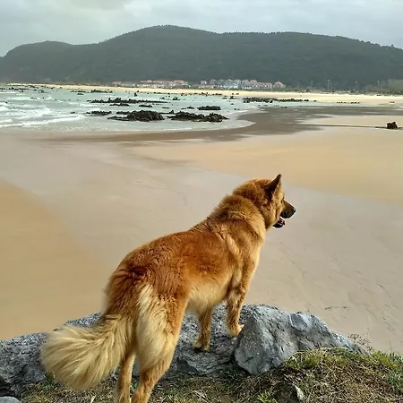 La Casona Del Carmen 아파트 *