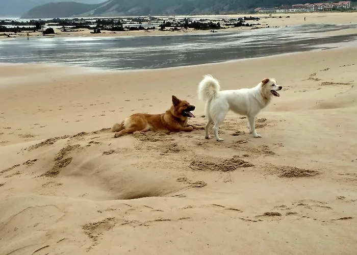 Appartement La Casona Del Carmen Noja